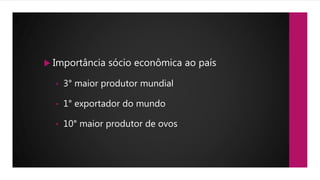  Importância sócio econômica ao país
• 3° maior produtor mundial
• 1° exportador do mundo
• 10° maior produtor de ovos
 
