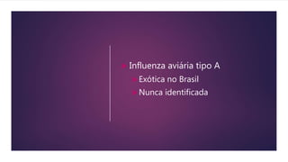  Influenza aviária tipo A
Exótica no Brasil
Nunca identificada
 