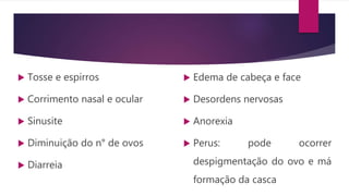  Tosse e espirros
 Corrimento nasal e ocular
 Sinusite
 Diminuição do n° de ovos
 Diarreia
 Edema de cabeça e face
 Desordens nervosas
 Anorexia
 Perus: pode ocorrer
despigmentação do ovo e má
formação da casca
 