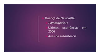  Doença de Newcastle
Paramixovírus
Últimas ocorrências em
2006
Aves de subsistência
 
