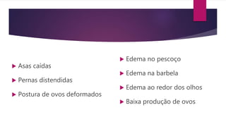  Asas caídas
 Pernas distendidas
 Postura de ovos deformados
 Edema no pescoço
 Edema na barbela
 Edema ao redor dos olhos
 Baixa produção de ovos
 
