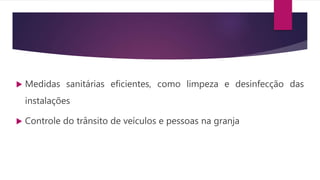  Medidas sanitárias eficientes, como limpeza e desinfecção das
instalações
 Controle do trânsito de veículos e pessoas na granja
 