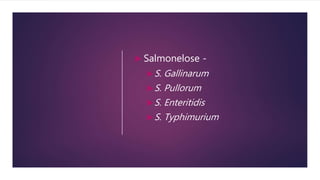  Salmonelose -
S. Gallinarum
S. Pullorum
S. Enteritidis
S. Typhimurium
 