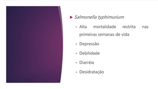  Salmonella typhimurium
• Alta mortalidade restrita nas
primeiras semanas de vida
• Depressão
• Debilidade
• Diarréia
• Desidratação
 