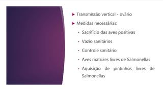  Transmissão vertical - ovário
 Medidas necessárias:
• Sacrifício das aves positivas
• Vazio sanitários
• Controle sanitário
• Aves matrizes livres de Salmonellas
• Aquisição de pintinhos livres de
Salmonellas
 