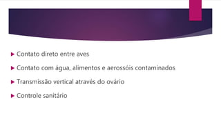  Contato direto entre aves
 Contato com água, alimentos e aerossóis contaminados
 Transmissão vertical através do ovário
 Controle sanitário
 