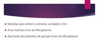  Medidas que evitam o estresse, umidade e frio
 Aves matrizes livre de Micoplasma
 Aquisição de pintinhos de granjas livres de Micoplasma
 