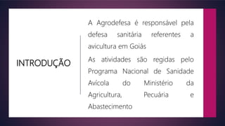 INTRODUÇÃO
A Agrodefesa é responsável pela
defesa sanitária referentes a
avicultura em Goiás
As atividades são regidas pelo
Programa Nacional de Sanidade
Avícola do Ministério da
Agricultura, Pecuária e
Abastecimento
 