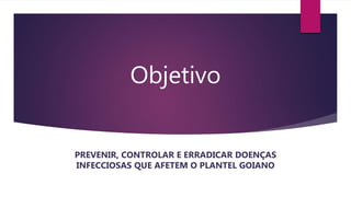 Objetivo
PREVENIR, CONTROLAR E ERRADICAR DOENÇAS
INFECCIOSAS QUE AFETEM O PLANTEL GOIANO
 