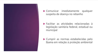  Comunicar imediatamente qualquer
suspeita de doença no rebanho
 Facilitar as atividades relacionadas à
legislação sanitária federal, estadual ou
municipal
 Cumprir as normas estabelecidas pelo
Ibama em relação à proteção ambiental
 