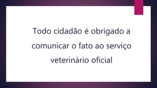 Todo cidadão é obrigado a
comunicar o fato ao serviço
veterinário oficial
 