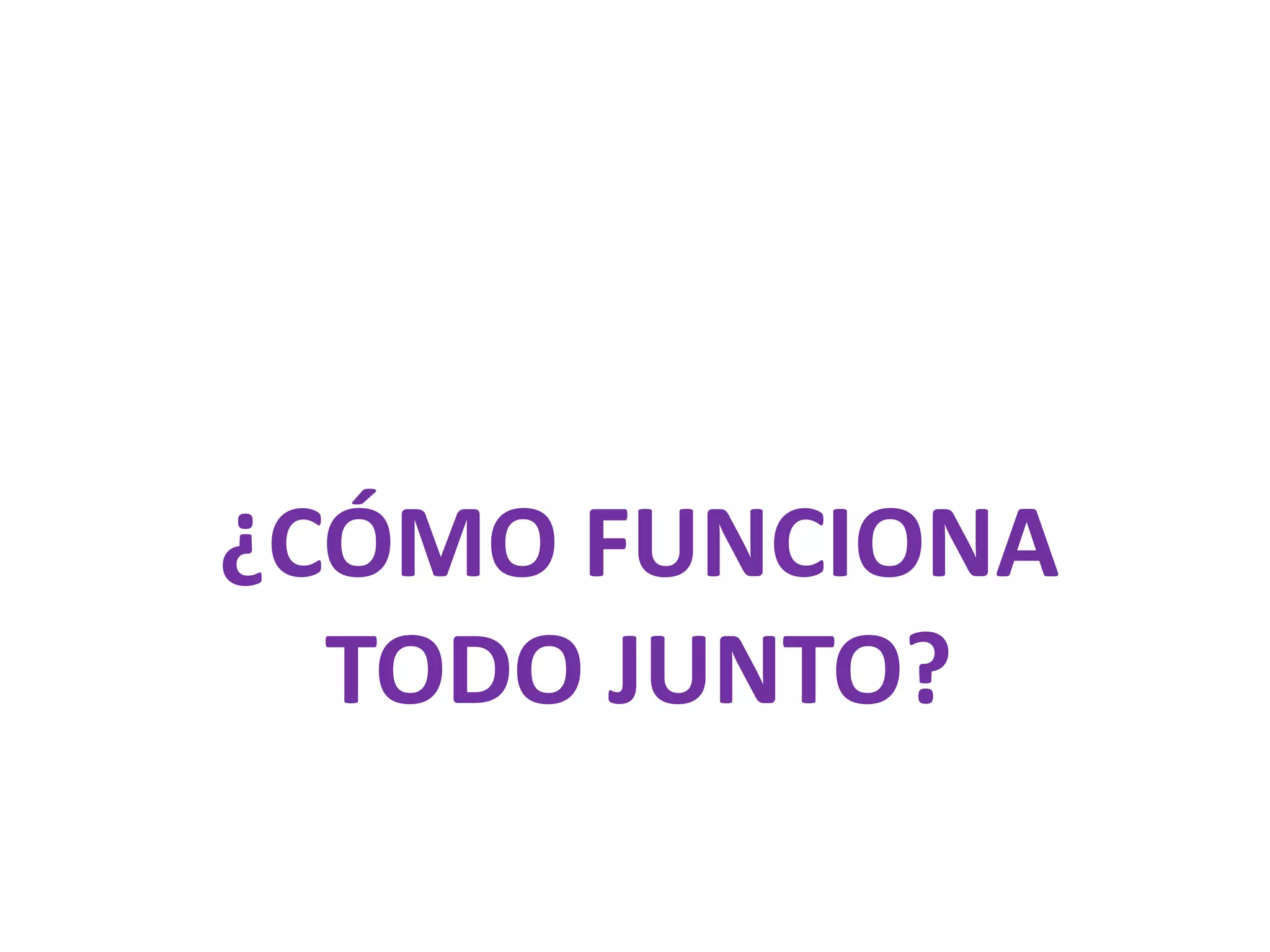 ¿CÓMO FUNCIONA TODO JUNTO?