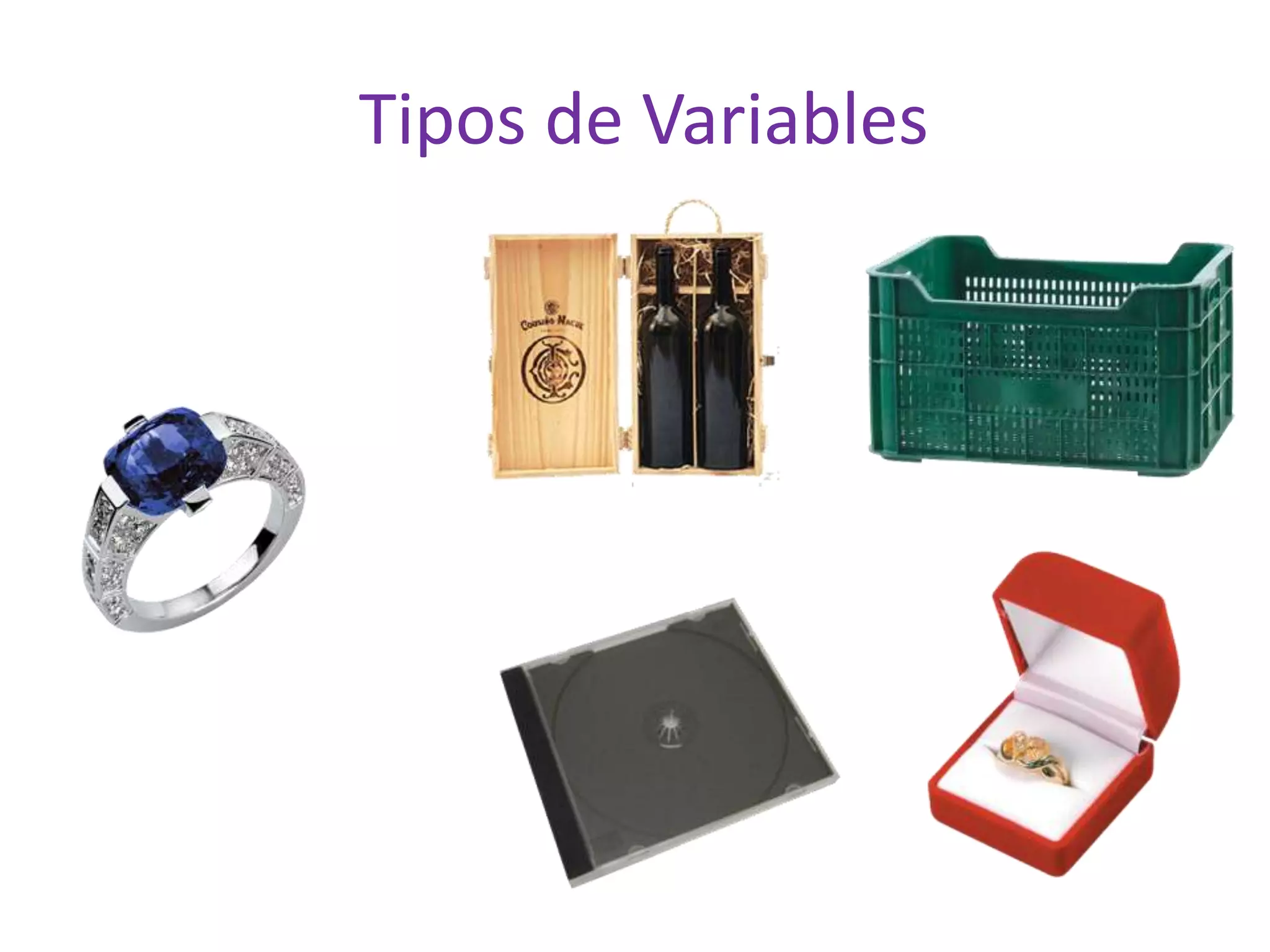  Tipos de Variables
