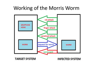 Working of the Morris Worm

 