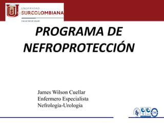 PROGRAMA DE
NEFROPROTECCIÓN
James Wilson Cuellar
Enfermero Especialista
Nefrologia-Urologia
 