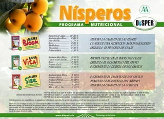 Disper. Nutrición Vegetal. Programa Nutricional Nispero. | PDF