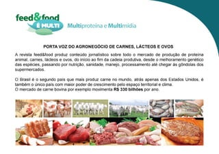 Programação anual com 12 edições