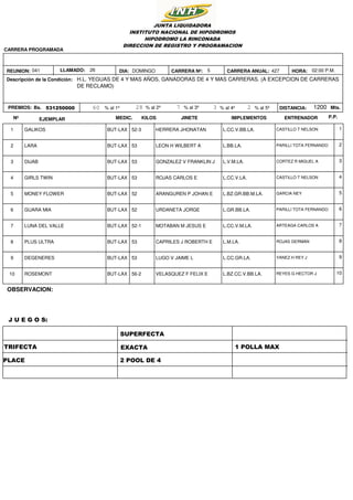 Programa oficial la rinconada reu 40 y 41 | PDF