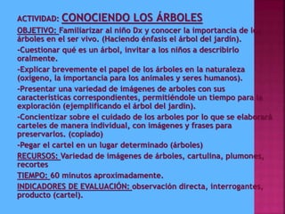 ACTIVIDAD: CONOCIENDO LOS ÁRBOLES
OBJETIVO: Familiarizar al niño Dx y conocer la importancia de los
árboles en el ser vivo. (Haciendo énfasis el árbol del jardín).
-Cuestionar qué es un árbol, invitar a los niños a describirlo
oralmente.
-Explicar brevemente el papel de los árboles en la naturaleza
(oxigeno, la importancia para los animales y seres humanos).
-Presentar una variedad de imágenes de arboles con sus
características correspondientes, permitiéndole un tiempo para la
exploración (ejemplificando el árbol del jardín).
-Concientizar sobre el cuidado de los arboles por lo que se elaborará
carteles de manera individual, con imágenes y frases para
preservarlos. (copiado)
-Pegar el cartel en un lugar determinado (árboles)
RECURSOS: Variedad de imágenes de árboles, cartulina, plumones,
recortes
TIEMPO: 60 minutos aproximadamente.
INDICADORES DE EVALUACIÓN: observación directa, interrogantes,
producto (cartel).
 