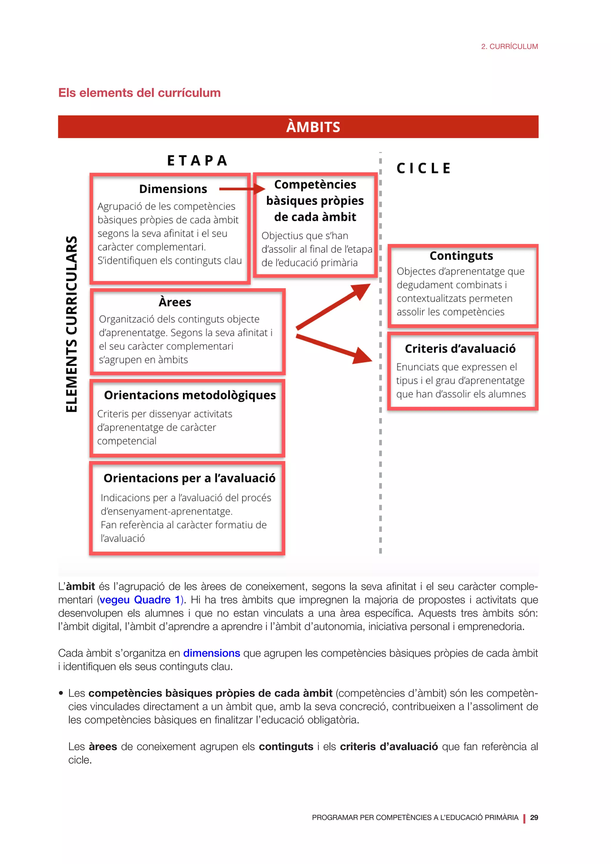 PROGRAMAR PER COMPETÈNCIES A L’EDUCACIÓ PRIMÀRIA
❘ 29
2. CURRÍCULUM
Els elements del currículum
L’àmbit és l’agrupació de les àrees de coneixement, segons la seva afinitat i el seu caràcter comple-
mentari (vegeu Quadre 1). Hi ha tres àmbits que impregnen la majoria de propostes i activitats que
desenvolupen els alumnes i que no estan vinculats a una àrea específica. Aquests tres àmbits són:
l’àmbit digital, l’àmbit d’aprendre a aprendre i l’àmbit d’autonomia, iniciativa personal i emprenedoria.
Cada àmbit s’organitza en dimensions que agrupen les competències bàsiques pròpies de cada àmbit
i identifiquen els seus continguts clau.
•	Les competències bàsiques pròpies de cada àmbit (competències d’àmbit) són les competèn-
cies vinculades directament a un àmbit que, amb la seva concreció, contribueixen a l’assoliment de
les competències bàsiques en finalitzar l’educació obligatòria.
Les àrees de coneixement agrupen els continguts i els criteris d’avaluació que fan referència al
cicle.
 