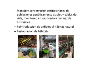 InvesLgación CienRﬁca Ex-situ – Bioparque Amaru
Programas reproducLvos de conservación
 