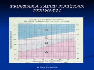 PROGRAMA SALUD MATERNA PERINATAL Dr. Ricardo Montoya HUEM 