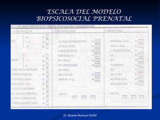   Dr. Ricardo Montoya HUEM ESCALA DEL MODELO BIOPSICOSOCIAL PRENATAL 
