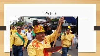 PAE 3
 