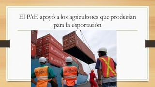 El PAE apoyó a los agricultores que producían
para la exportación
 