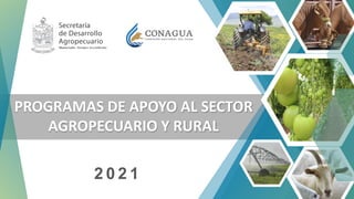 1
2 0 2 1
PROGRAMAS DE APOYO AL SECTOR
AGROPECUARIO Y RURAL
 