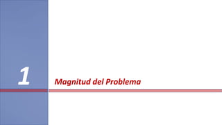 Magnitud del Problema1
 