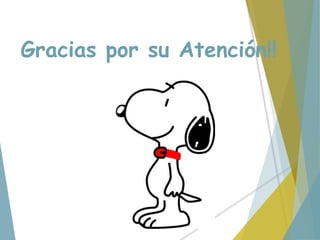 Gracias por su Atención!!
 