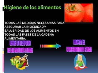 TODAS LAS MEDIDAS NECESARIAS PARA
ASEGURAR LA INOCUIDADY
SALUBRIDAD DE LOS ALIMENTOS EN
TODAS LAS FASES DE LA CADENA
ALIMENTARIA.
 