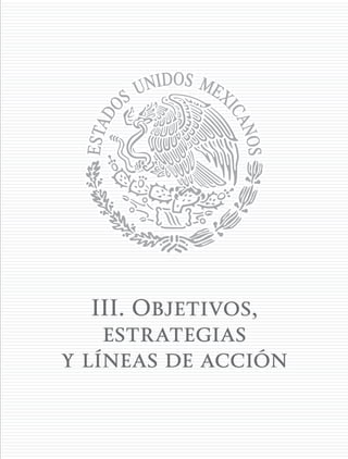 III. Objetivos,
estrategias
y líneas de acción
 
