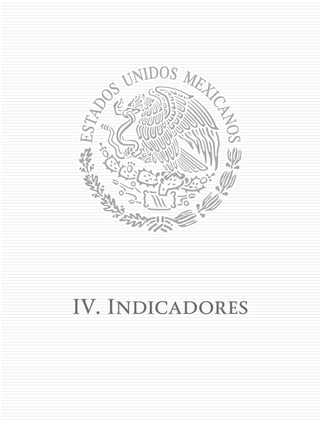 IV. Indicadores
 