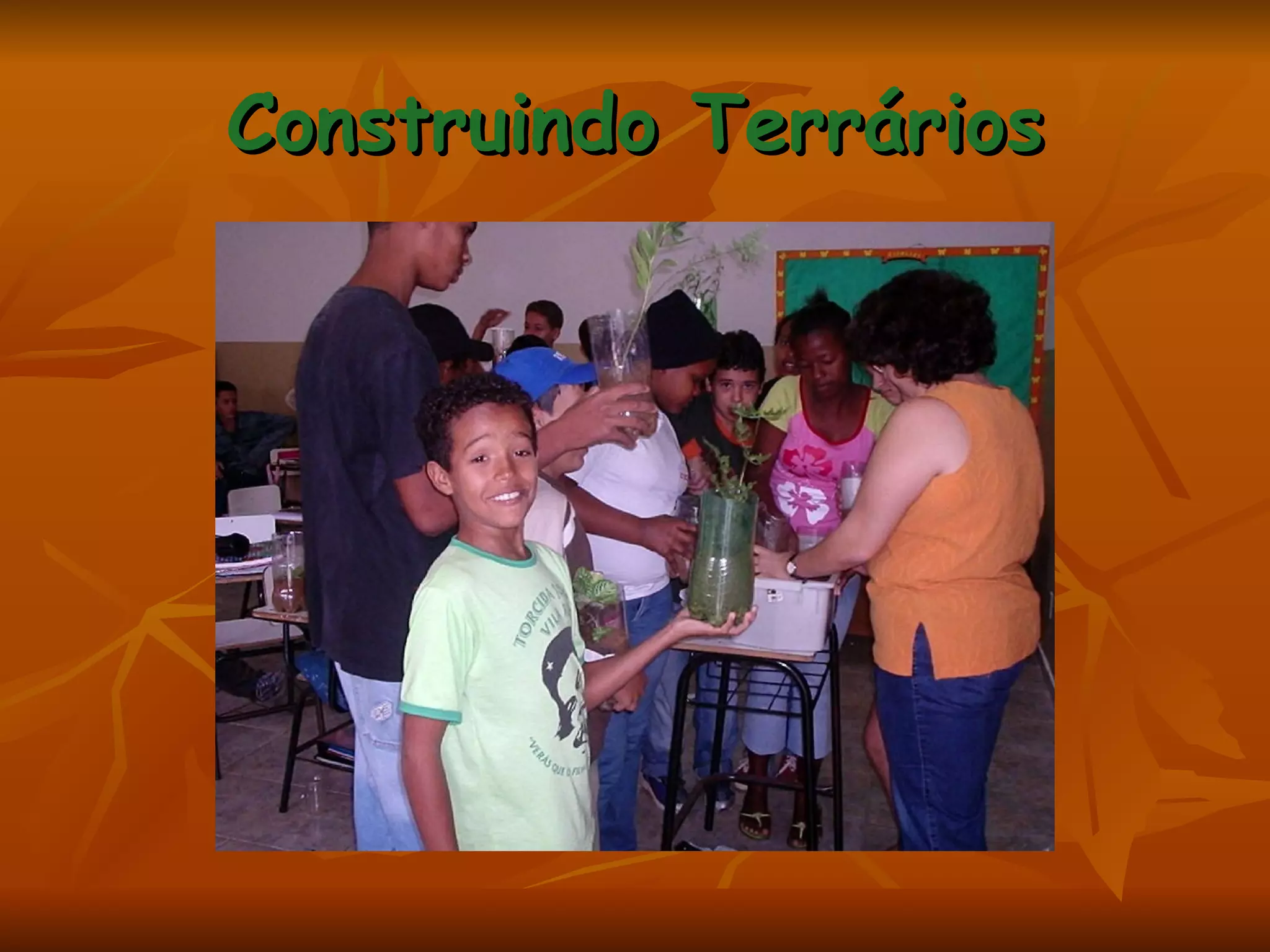 Construindo Terrários 