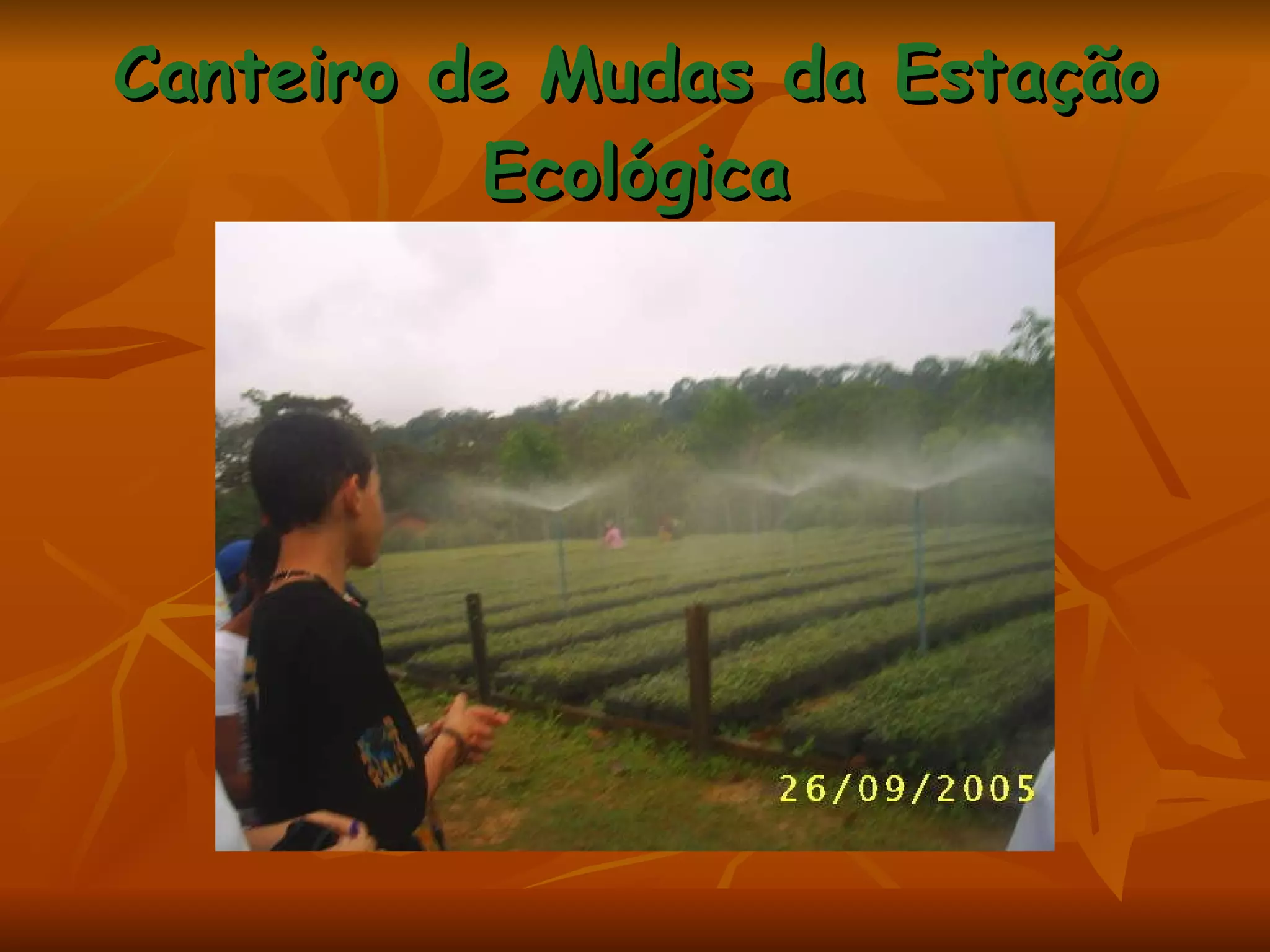 Canteiro de Mudas da Estação Ecológica 