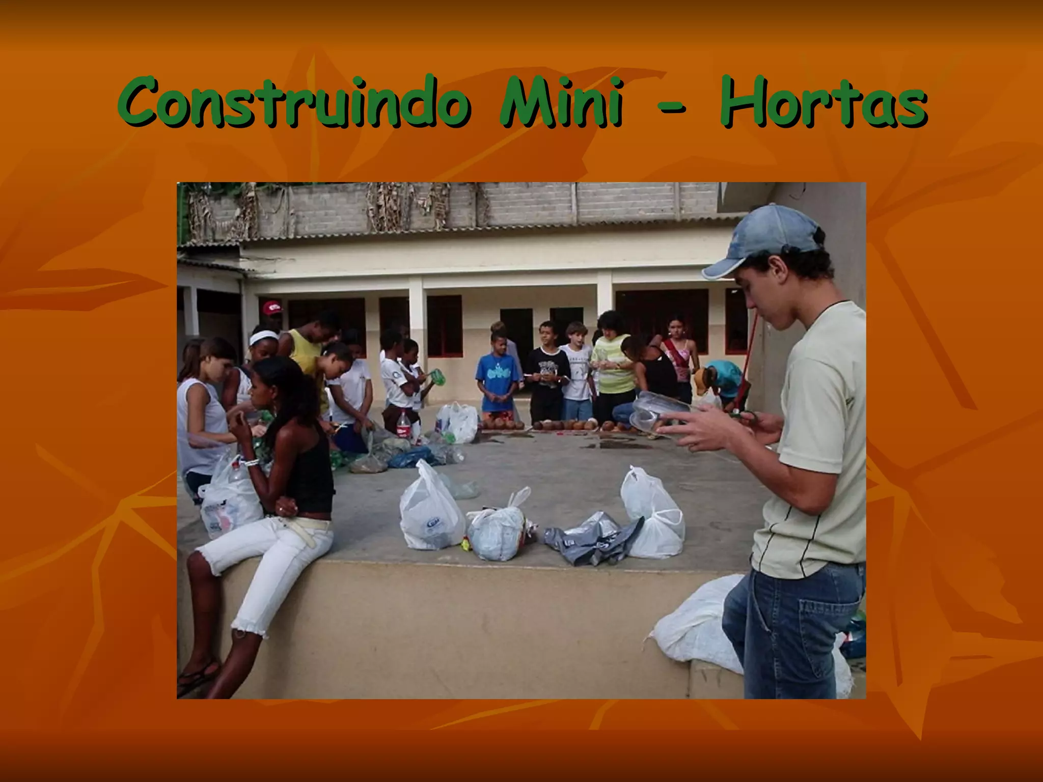 Construindo Mini - Hortas 