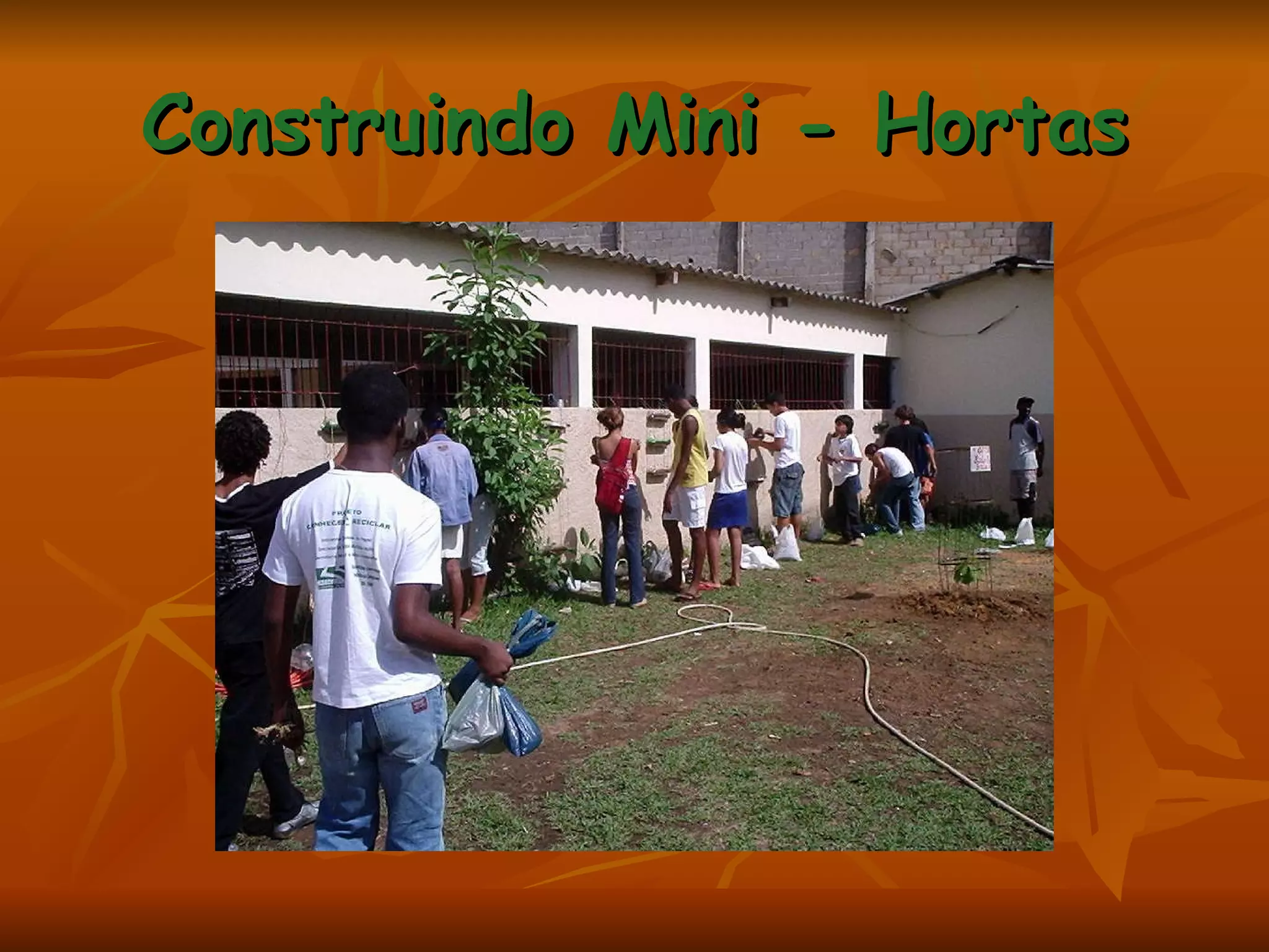 Construindo Mini - Hortas 