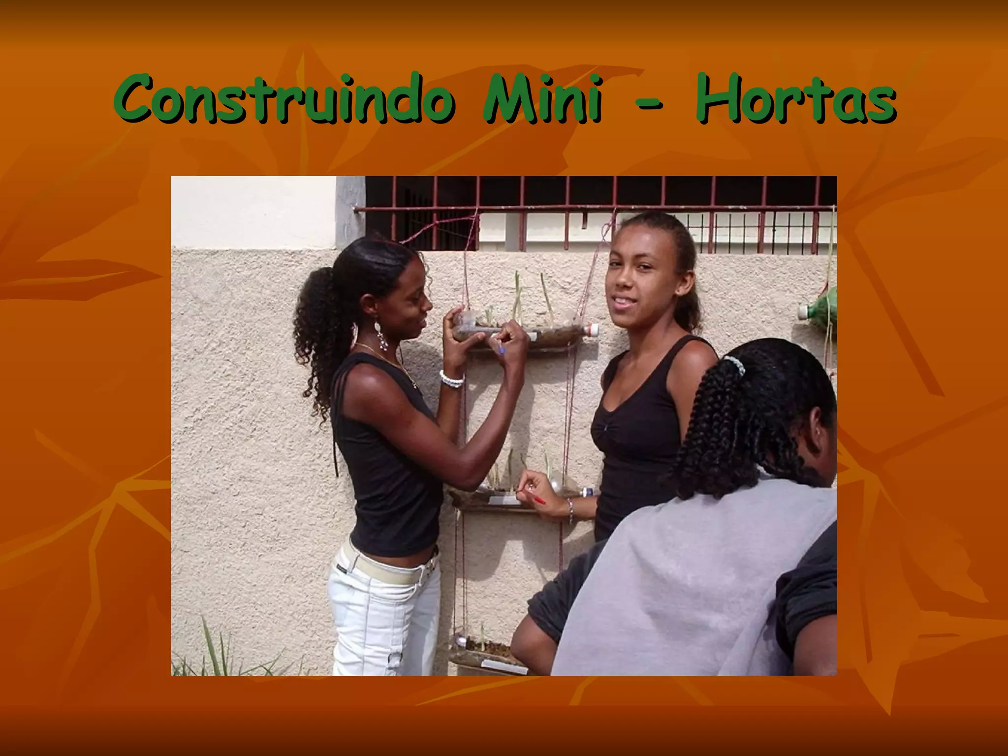 Construindo Mini - Hortas 