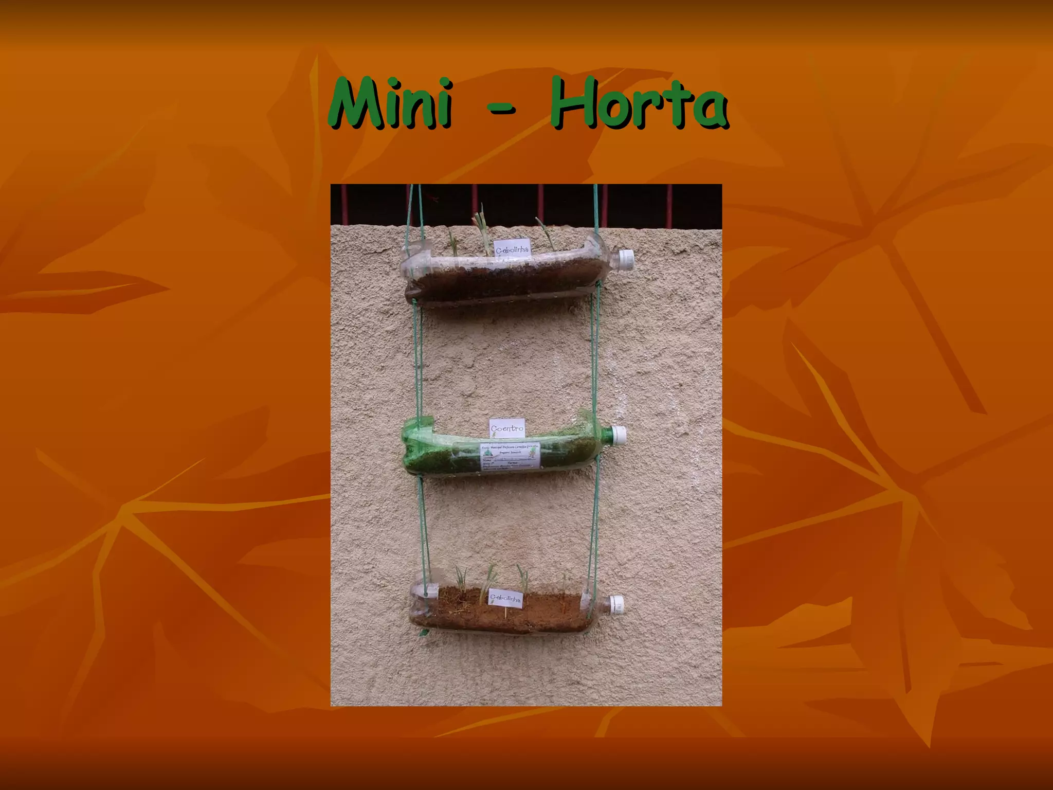 Mini - Horta 