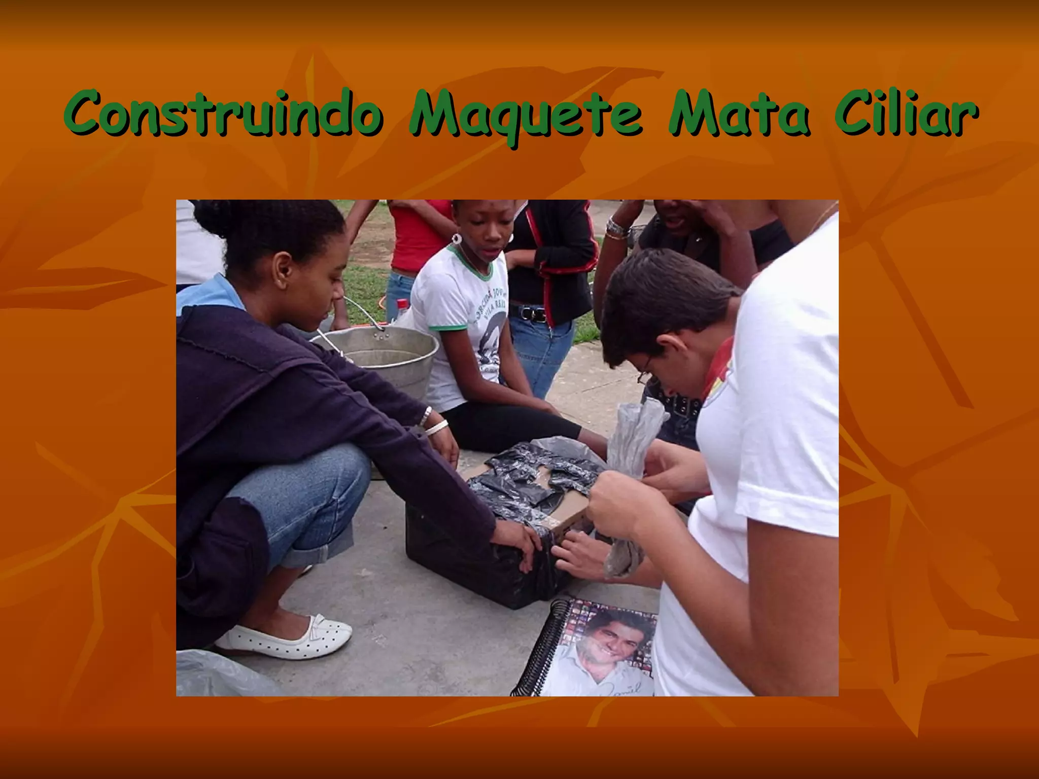 Construindo Maquete Mata Ciliar 