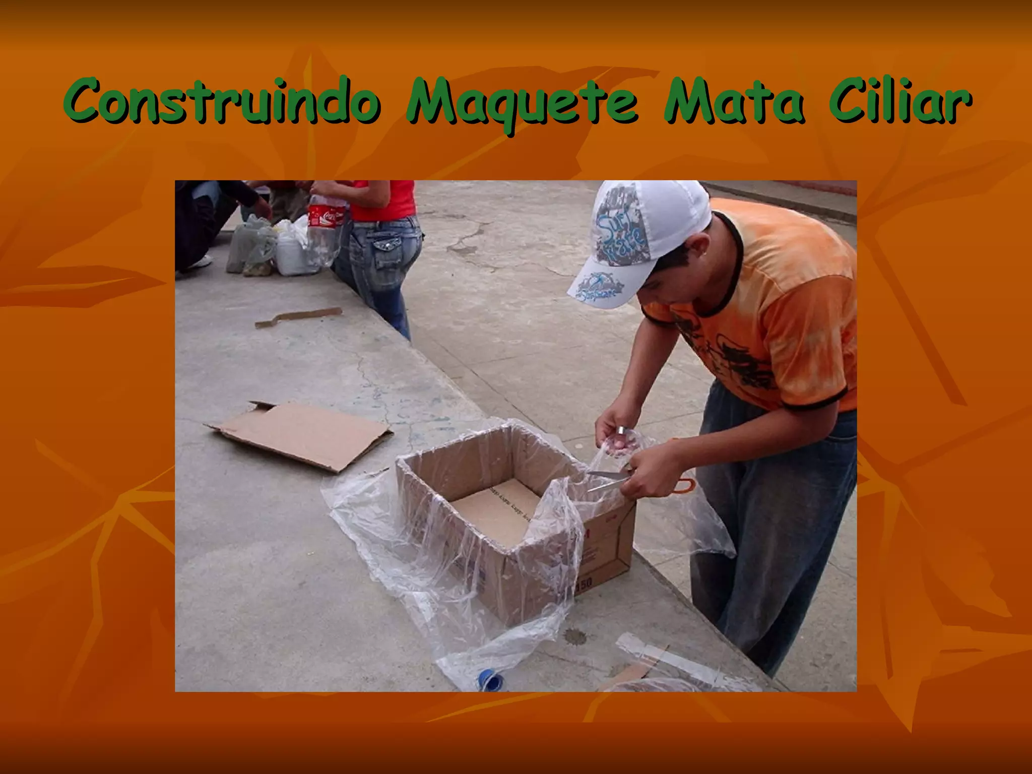 Construindo Maquete Mata Ciliar 
