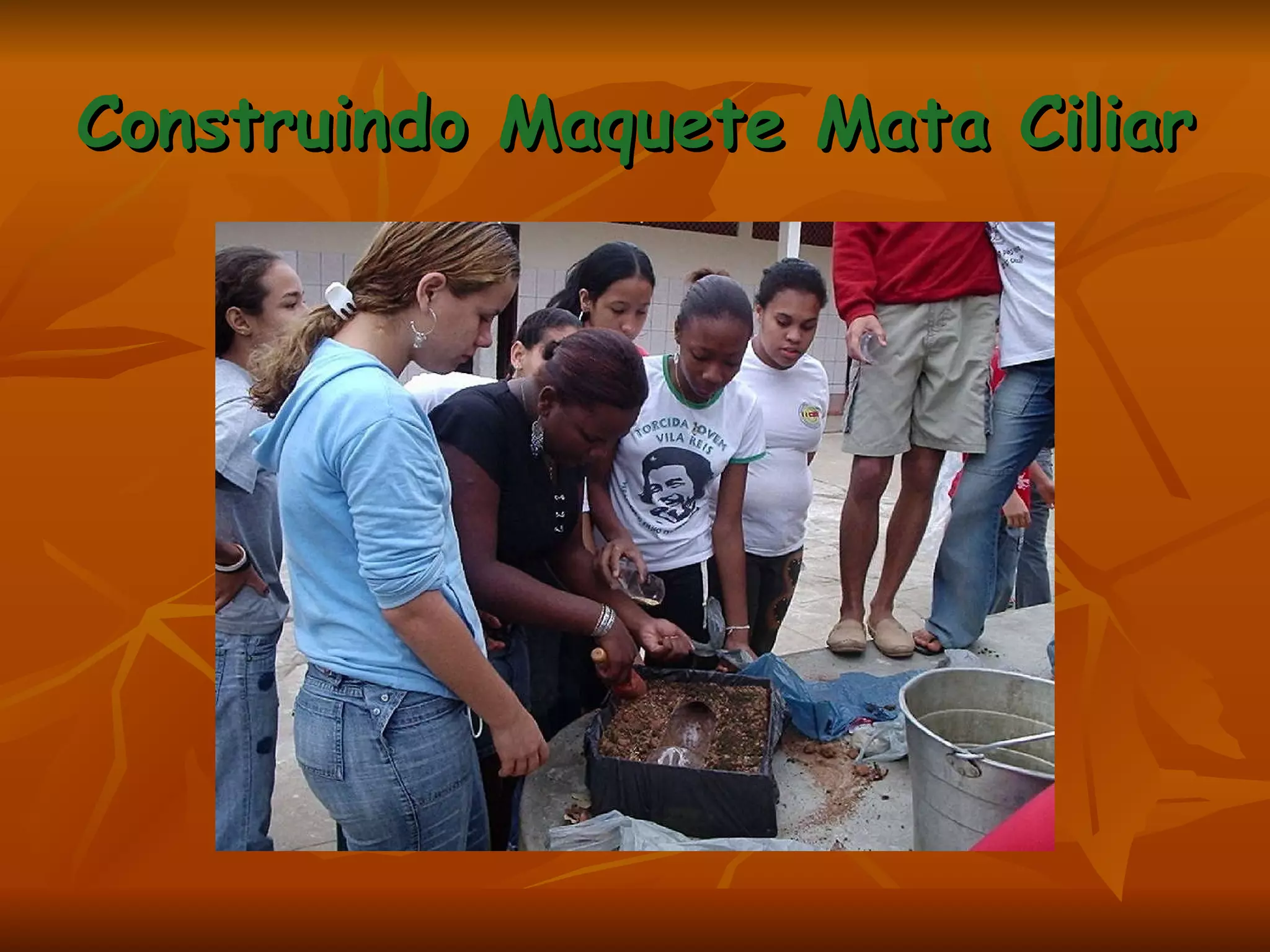 Construindo Maquete Mata Ciliar 