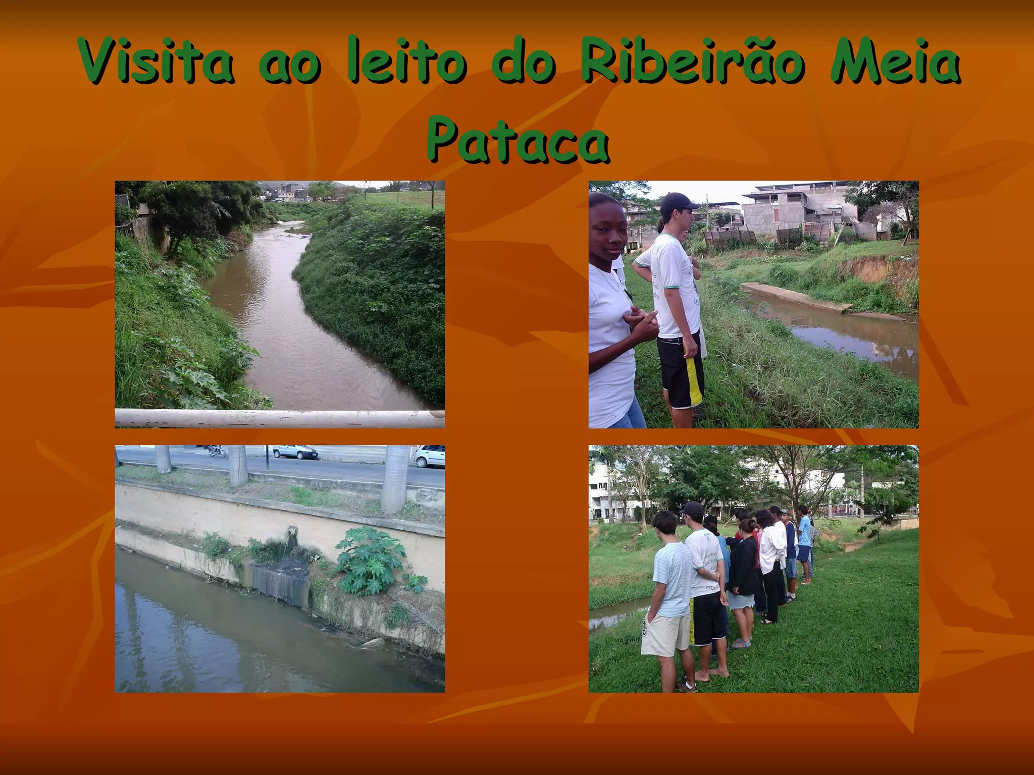 Visita ao leito do Ribeirão Meia Pataca 
