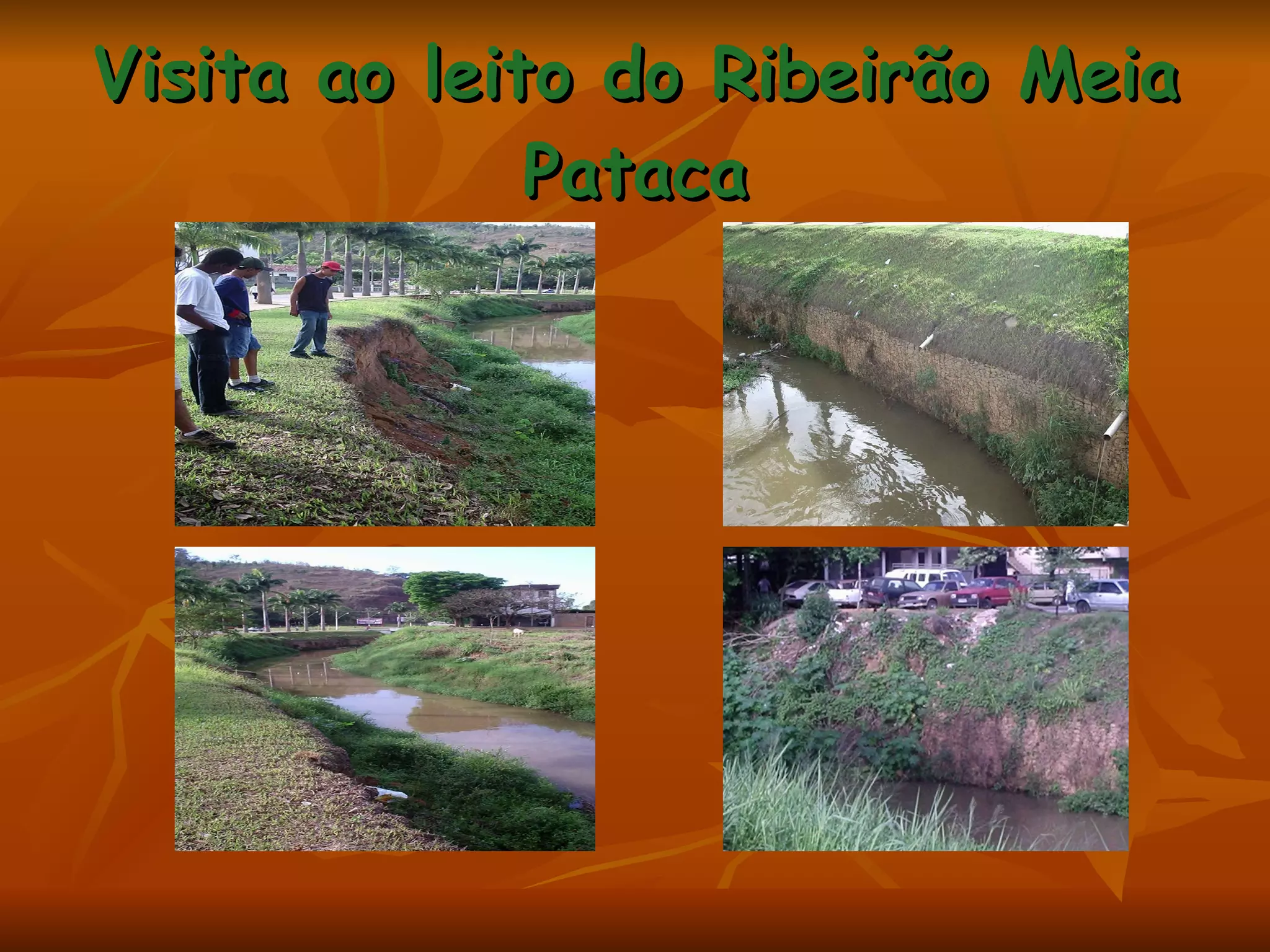 Visita ao leito do Ribeirão Meia Pataca 