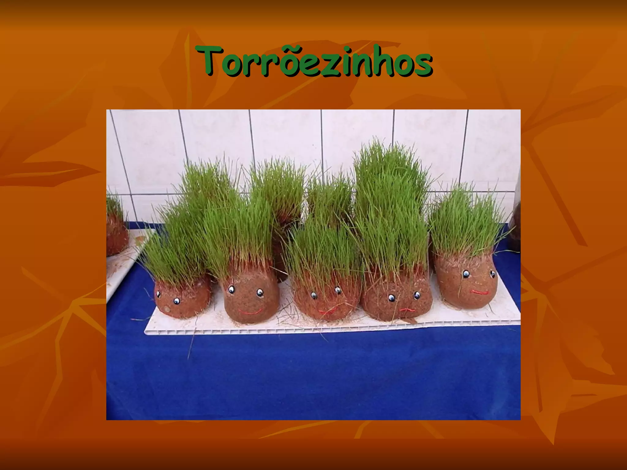 Torrõezinhos 