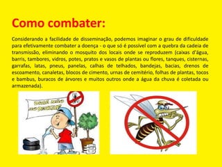Como combater:
Considerando a facilidade de disseminação, podemos imaginar o grau de dificuldade
para efetivamente combater a doença - o que só é possível com a quebra da cadeia de
transmissão, eliminando o mosquito dos locais onde se reproduzem (caixas d'água,
barris, tambores, vidros, potes, pratos e vasos de plantas ou flores, tanques, cisternas,
garrafas, latas, pneus, panelas, calhas de telhados, bandejas, bacias, drenos de
escoamento, canaletas, blocos de cimento, urnas de cemitério, folhas de plantas, tocos
e bambus, buracos de árvores e muitos outros onde a água da chuva é coletada ou
armazenada).
 
