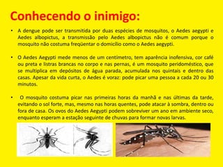 • A dengue pode ser transmitida por duas espécies de mosquitos, o Aedes aegypti e
Aedes albopictus, a transmissão pelo Aedes albopictus não é comum porque o
mosquito não costuma freqüentar o domicílio como o Aedes aegypti.
• O Aedes Aegypti mede menos de um centímetro, tem aparência inofensiva, cor café
ou preta e listras brancas no corpo e nas pernas, é um mosquito peridoméstico, que
se multiplica em depósitos de água parada, acumulada nos quintais e dentro das
casas. Apesar da vida curta, o Aedes é voraz: pode picar uma pessoa a cada 20 ou 30
minutos.
• O mosquito costuma picar nas primeiras horas da manhã e nas últimas da tarde,
evitando o sol forte, mas, mesmo nas horas quentes, pode atacar à sombra, dentro ou
fora de casa. Os ovos do Aedes Aegypti podem sobreviver um ano em ambiente seco,
enquanto esperam a estação seguinte de chuvas para formar novas larvas.
Conhecendo o inimigo:
 
