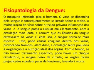 Fisiopatologia da Dengue:
O mosquito infectado pica o homem. O vírus se dissemina
pelo sangue e consequentemente se instala sobre o tecido. A
multiplicação do vírus sobre o tecido provoca inflamação dos
vasos e o sangue passa a circular mais lentamente. Com a
circulação mais lenta, é comum que os líquidos do sangue
extravasem os vasos e, com isso, o sangue torna-se mais
espesso. Este, pode causar coágulos dentro dos vasos,
provocando trombos, além disso, a circulação lenta prejudica
a oxigenação e a nutrição ideal dos órgãos. Com o tempo, se
não houver tratamento específico, pode haver um choque
circulatório, o sangue deixa de circular, os órgãos ficam
prejudicados e podem parar de funcionar, levando à morte.
 